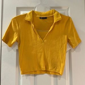 Zara Polo Crop Top